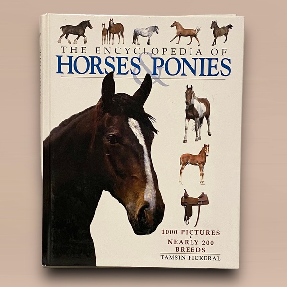 Encyclopedia of Horses &amp; Ponies | Accents | The Encyclopedia Of Horses ...